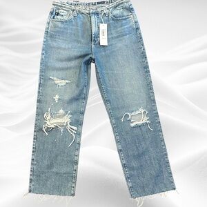 Adriano Goldschmied Jeans Alexxis Revival High Rise Vintage Straight Leg size 28